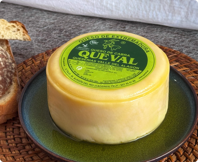 Queso de cabra en aceite de oliva virgen extra
