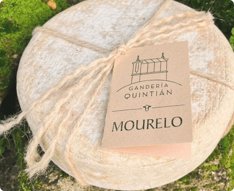 Mourelo